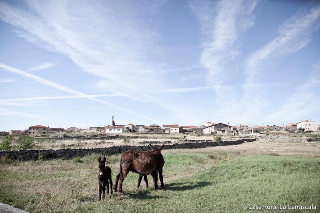 Casa Rural La Carrascala Zamora Esterno foto